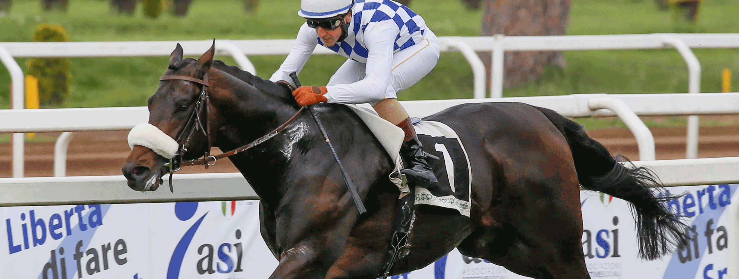 Clarico-Slider Style 3